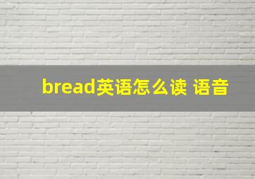 bread英语怎么读 语音